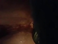 Dildo in her ass and soaking wet swollen clit