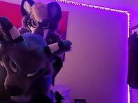 Freaky Furry Copulation and Blowjob In Cute Wolf and Raccoon Costumes