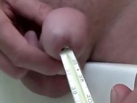 Sperma Temperatur gemessen