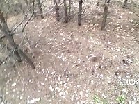 'Innocent teen public play with pussy in the forest, masturbating outside'
