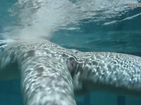 Cute brunette Russian college girl underwater on cam